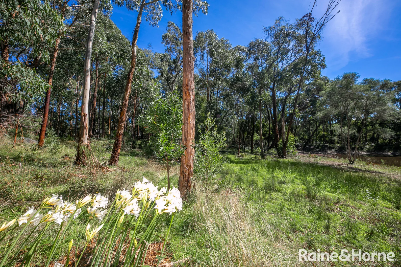 Additional image 24 of 162 Fitzgerald Road, Bullengarook VIC 3437