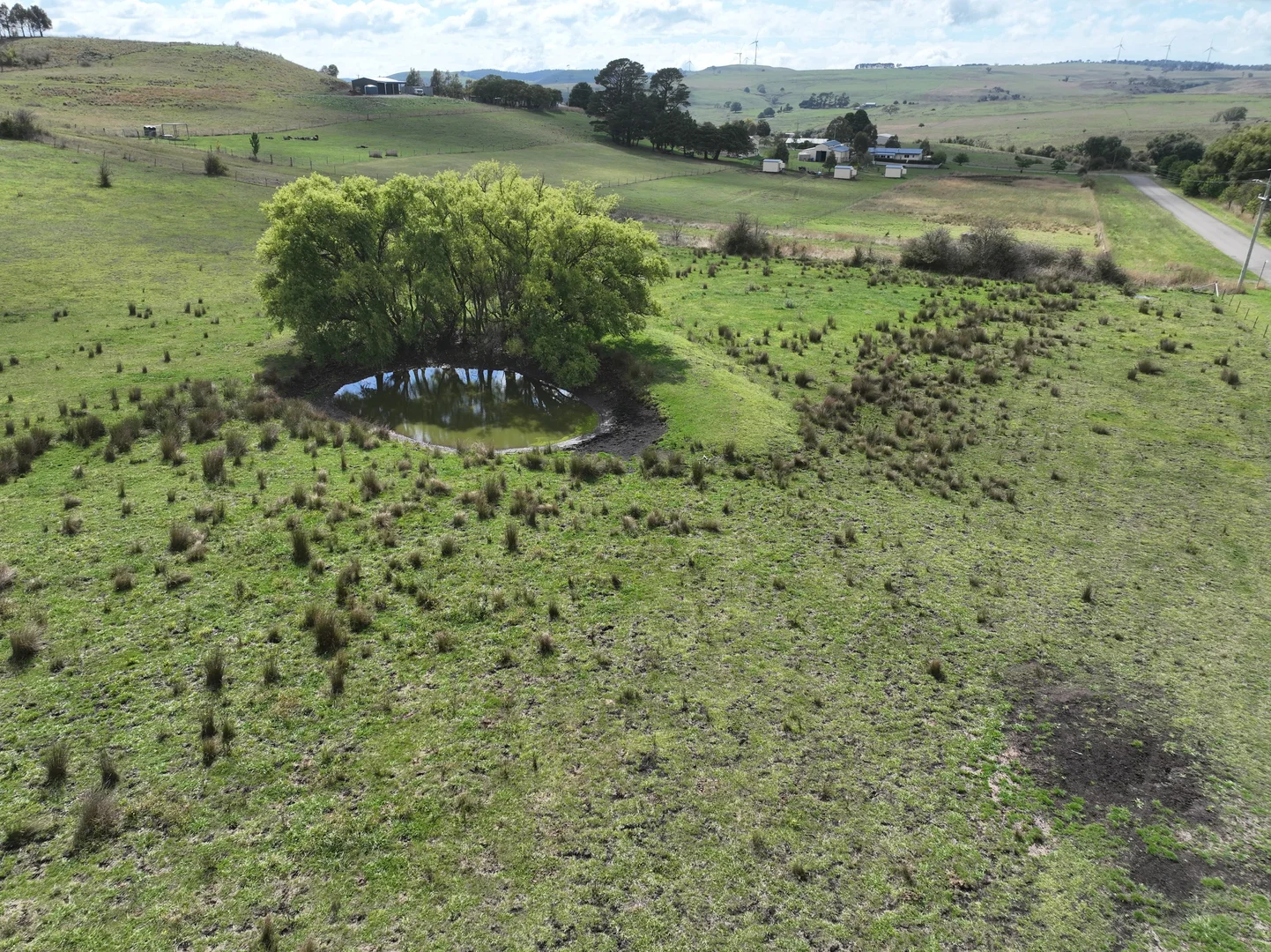 Image 13