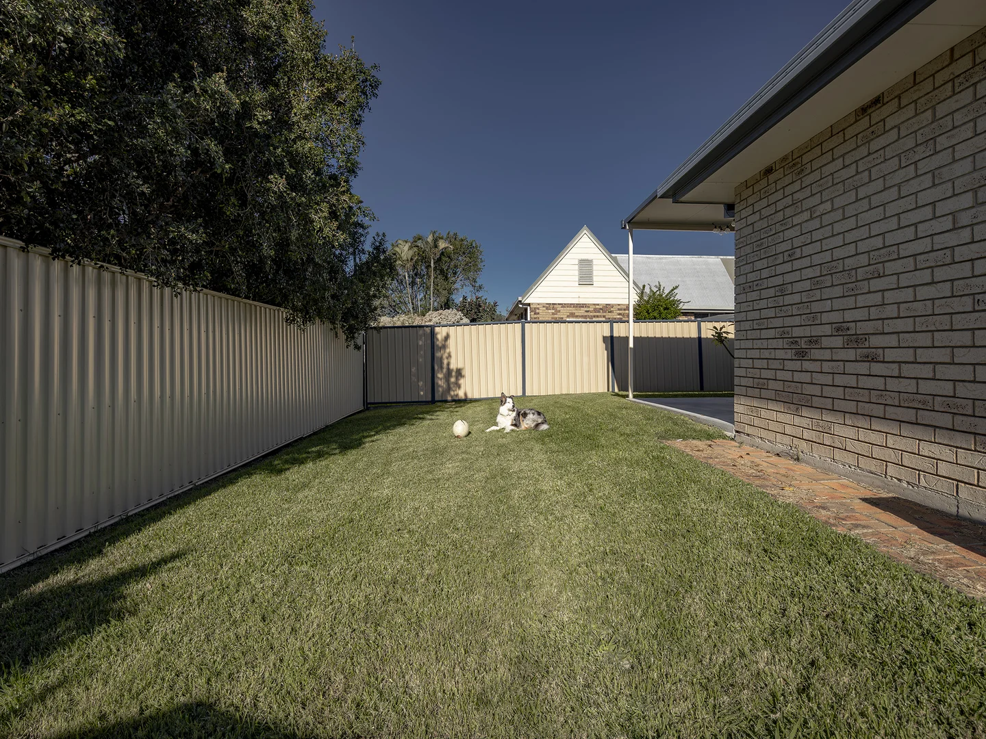 Image 15