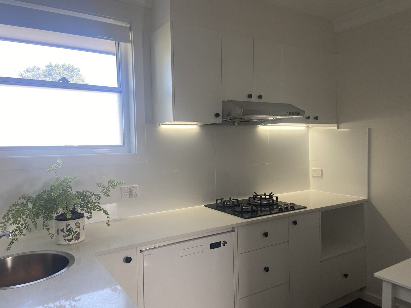 2 bedrooms House in Woolcott EARLWOOD NSW, 2206