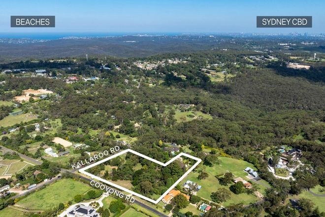 Picture of Lot 186 Cooyong Road, TERREY HILLS NSW 2084