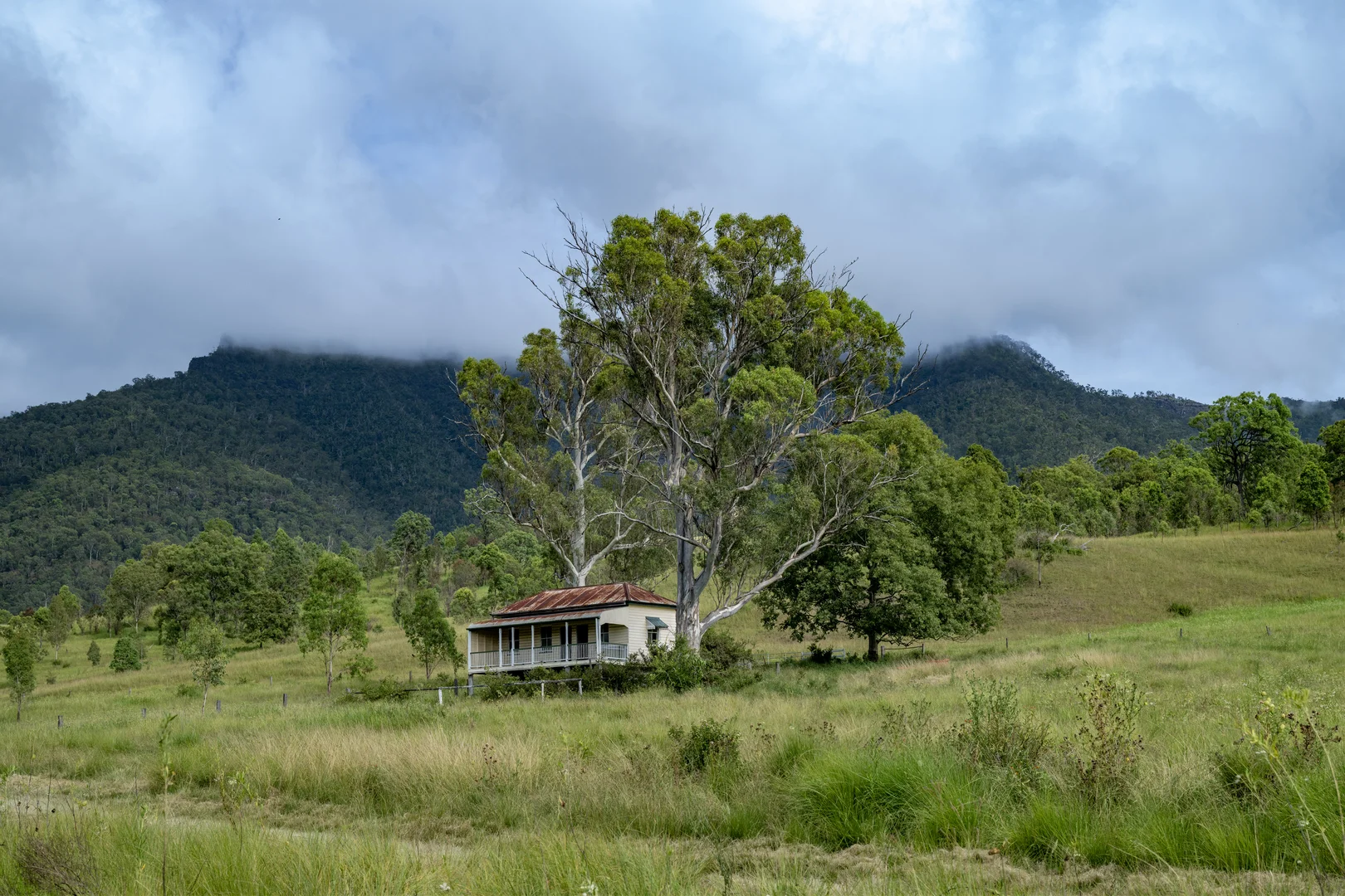 Image 20
