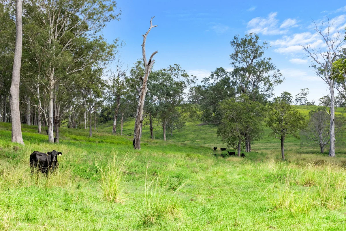 Additional image 6 of 760 Old Dyraaba Road, Woodview NSW 2470