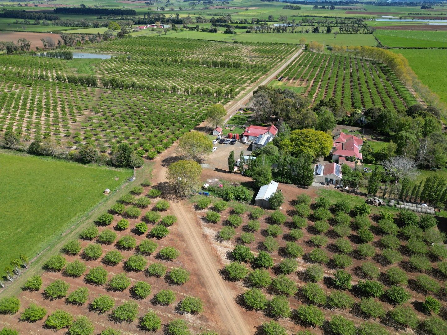 127 Hagley Station Lane, Hagley TAS 7292 House for Sale Domain