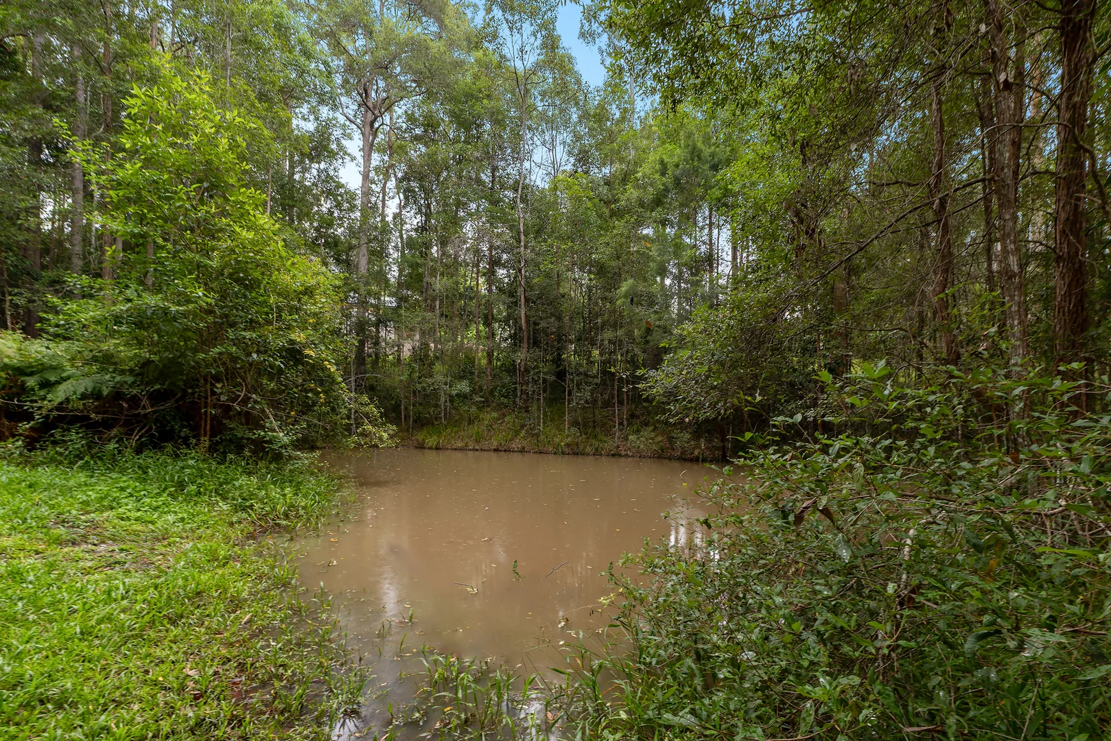 Additional image 28 of 79 Highfield Rise, Pomona QLD 4568