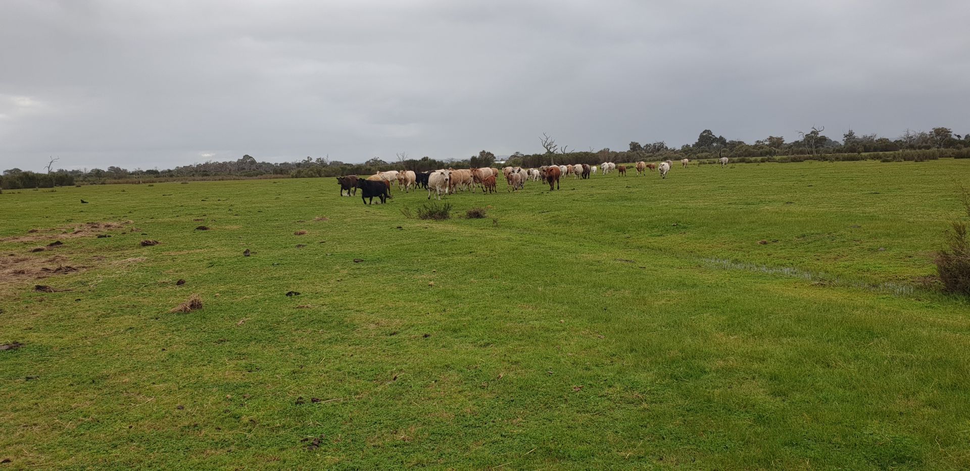 1326 Riverdale Road, Cookernup WA 6219 House for Sale 860,000