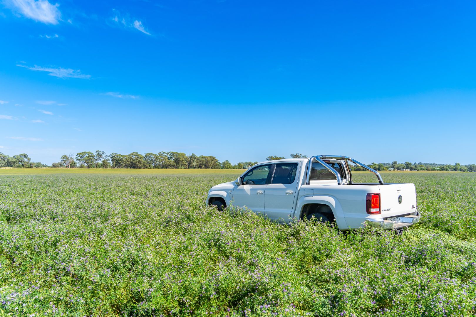 Kangarooby Road, Gooloogong NSW 2805, Image 2