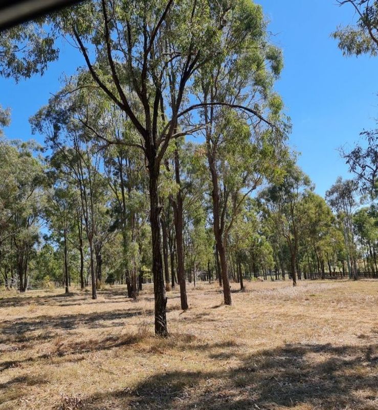 10 Sandalwood Drive, Brightview QLD 4311 Domain