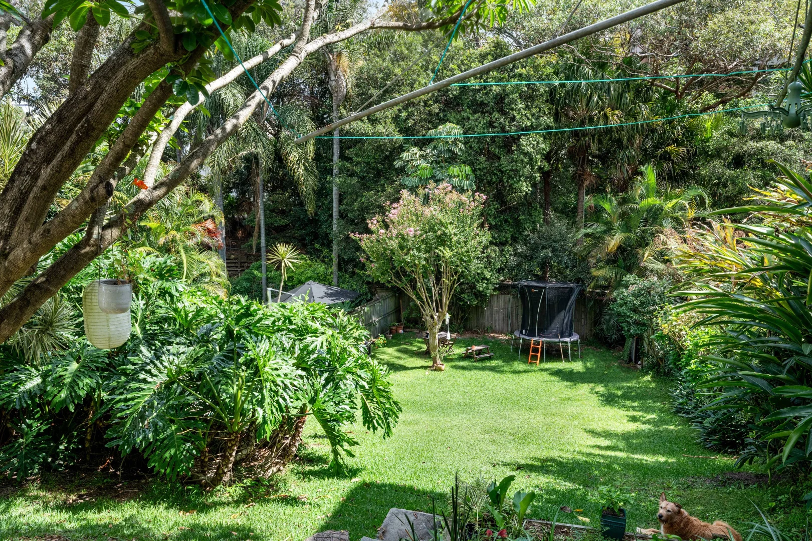 Additional image 20 of 6 & 8 Glen Avenue, Randwick NSW 2031