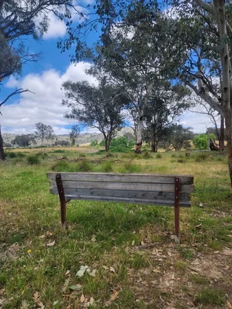 Image 15