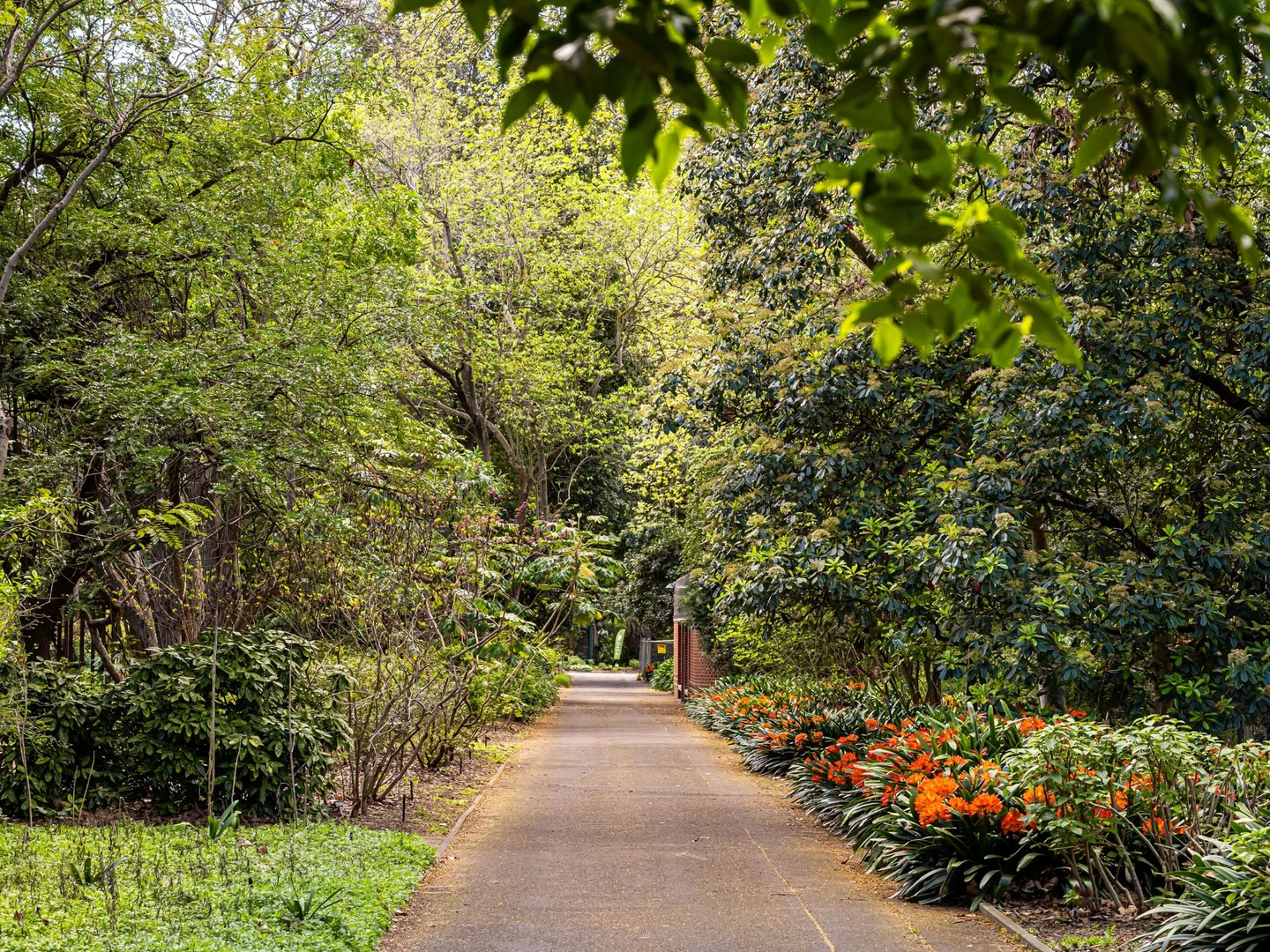 Additional image 10 of 30 Strathmore Avenue, Tranmere SA 5073