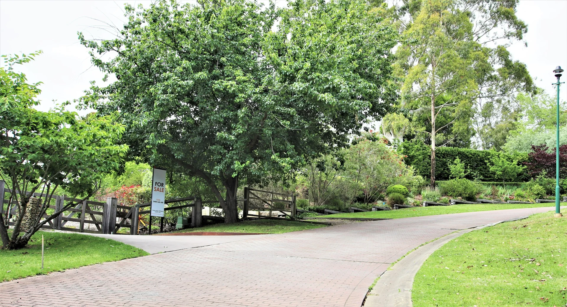 Image 29