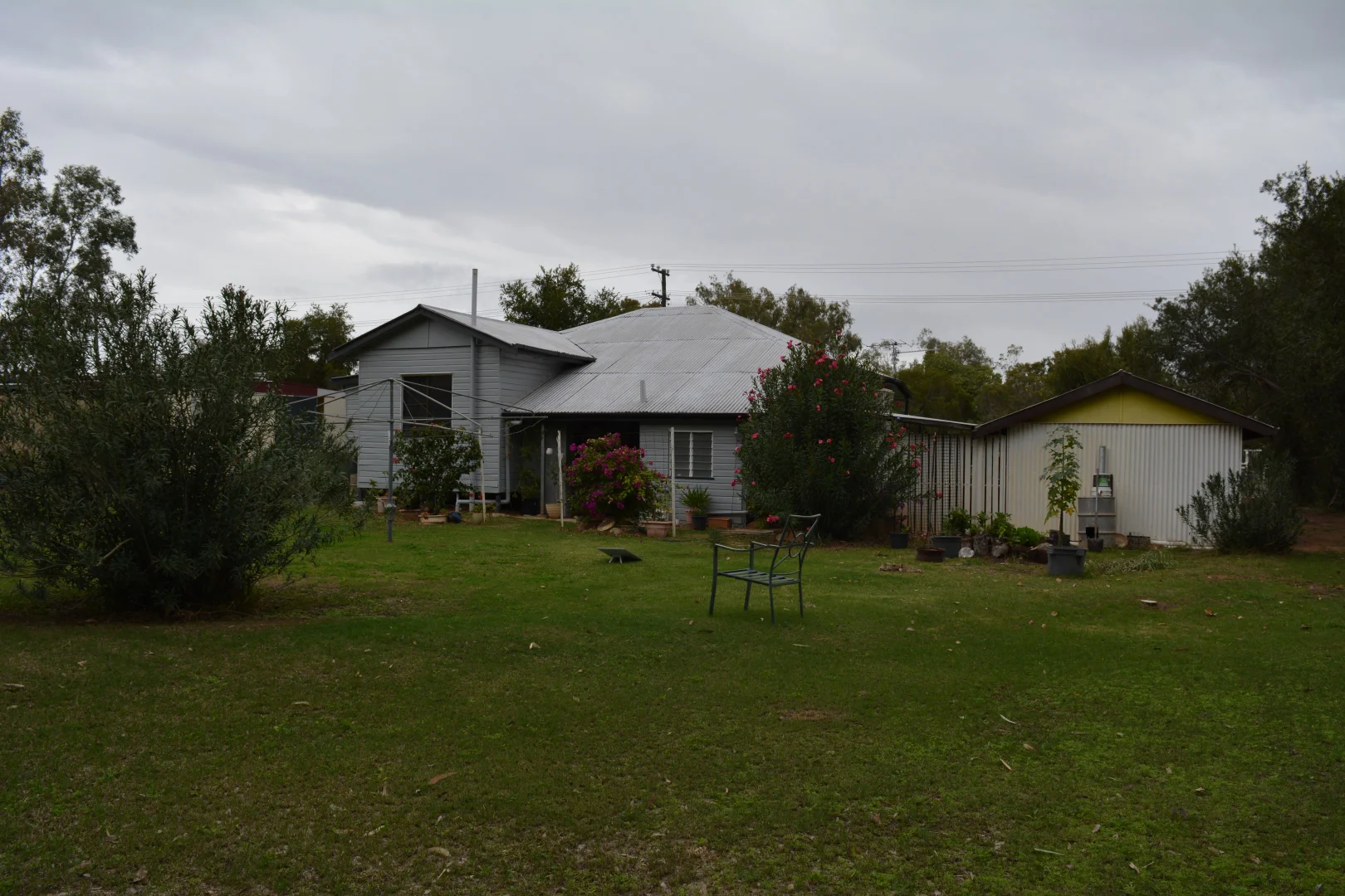 Image 4