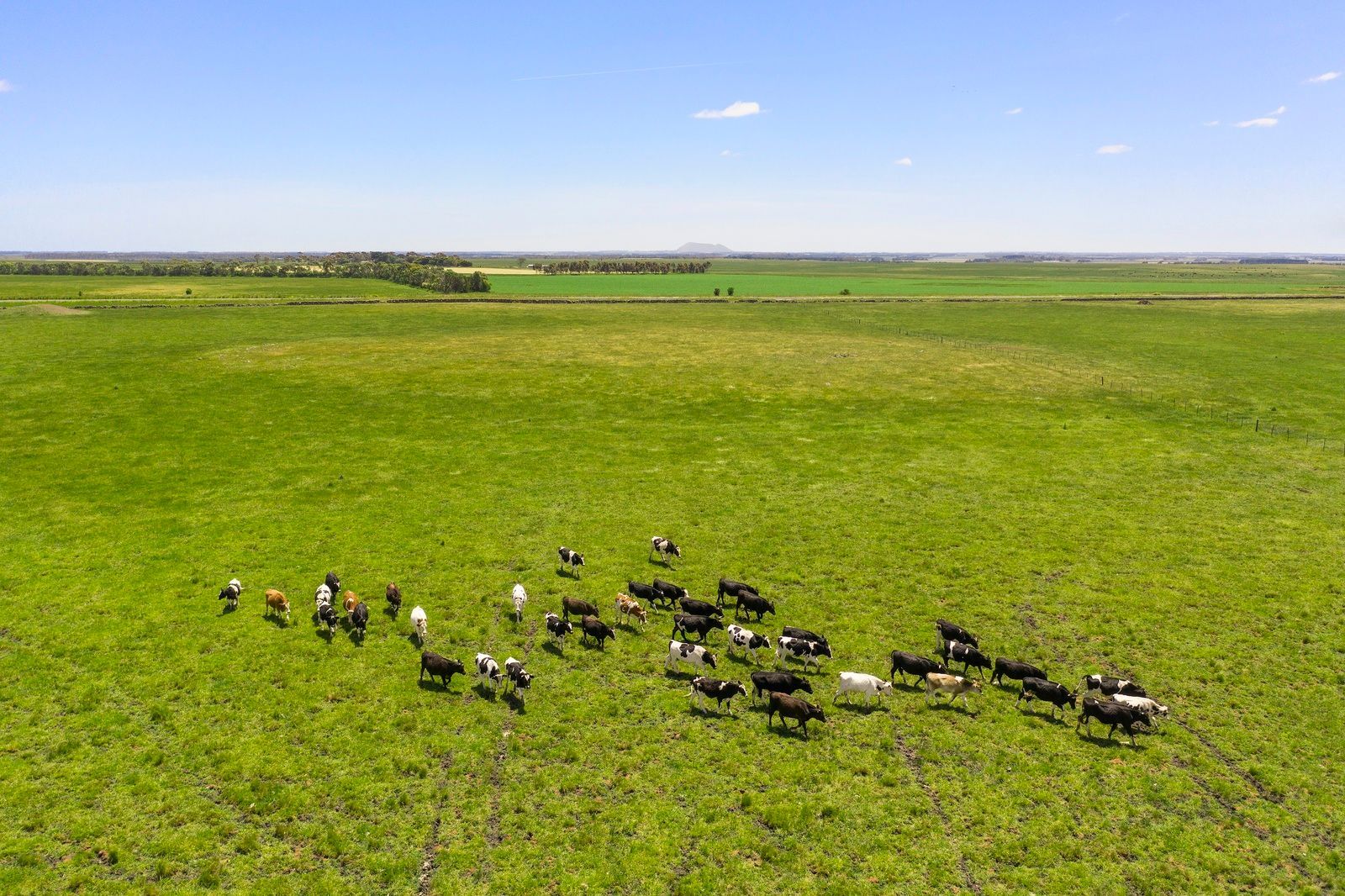 Foxhow Road, Leslie Manor VIC 3260, Image 1