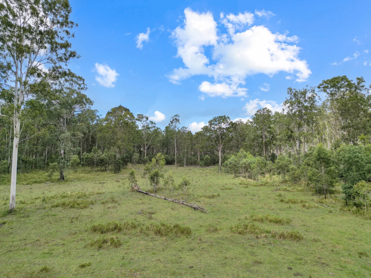 Additional image 7 of Lot 145 Ellangowan Myrtle Creek Road Ellangowan Via, Casino NSW 2470