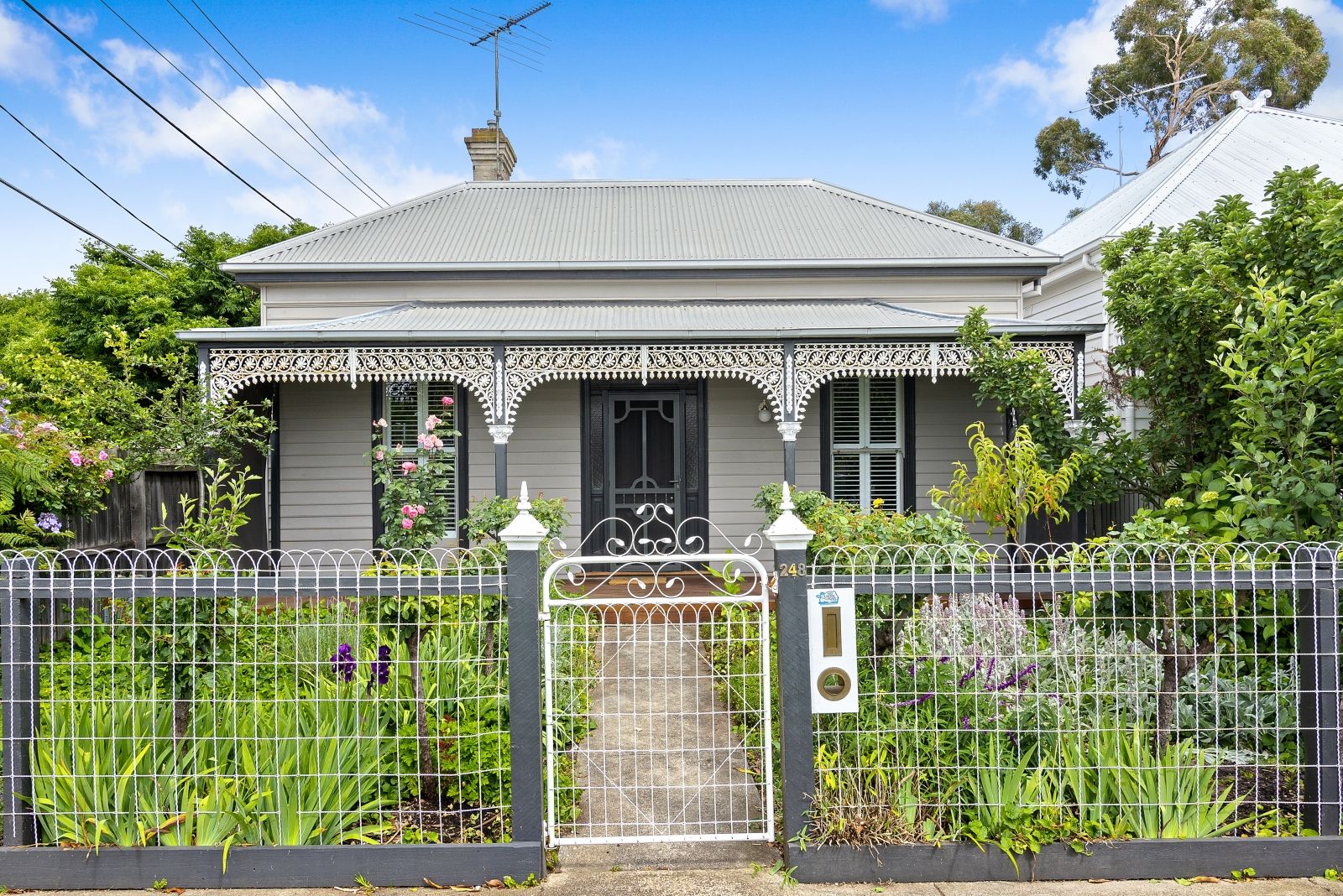 248 Yarra Street South Geelong Vic 3220 House For Rent 750 Domain