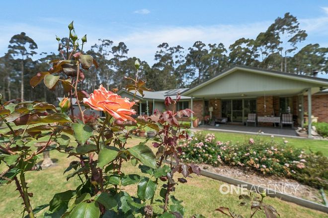 Picture of 46 Eucalypt Lane, TOMERONG NSW 2540