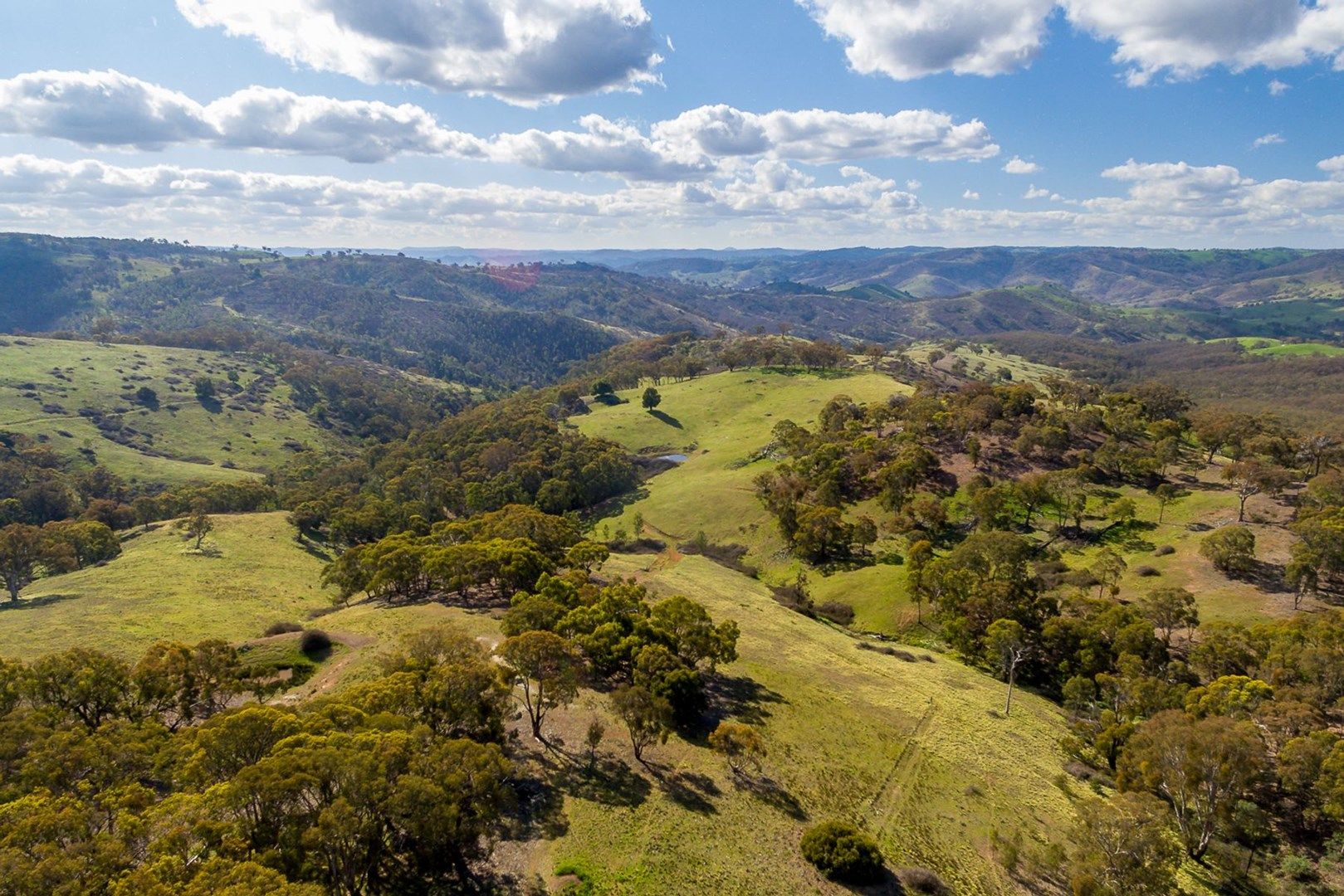 891 Red Hill Road, Paling Yards NSW 2795, Image 0