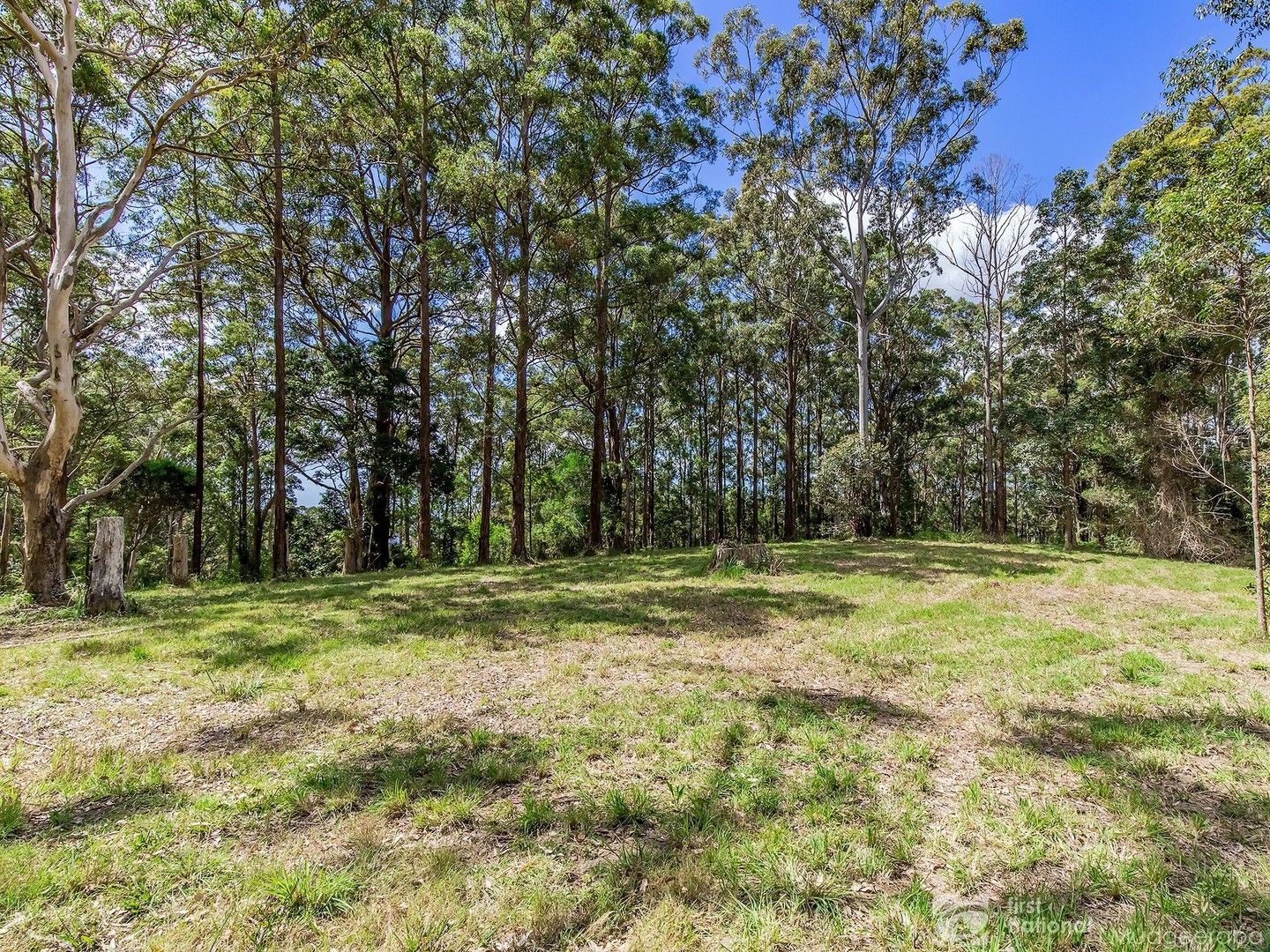 1806 Gold Coast Springbrook Road, Springbrook QLD 4213, Image 0