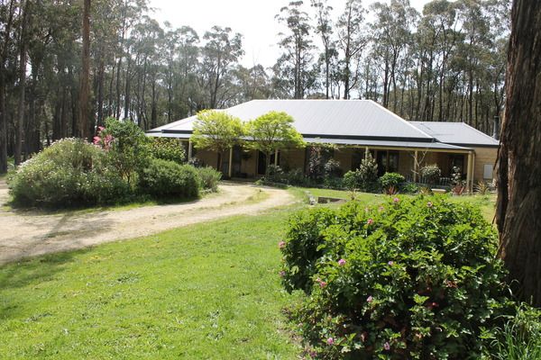 151 Dales Creek Avenue, Dales Creek VIC 3341, Image 1