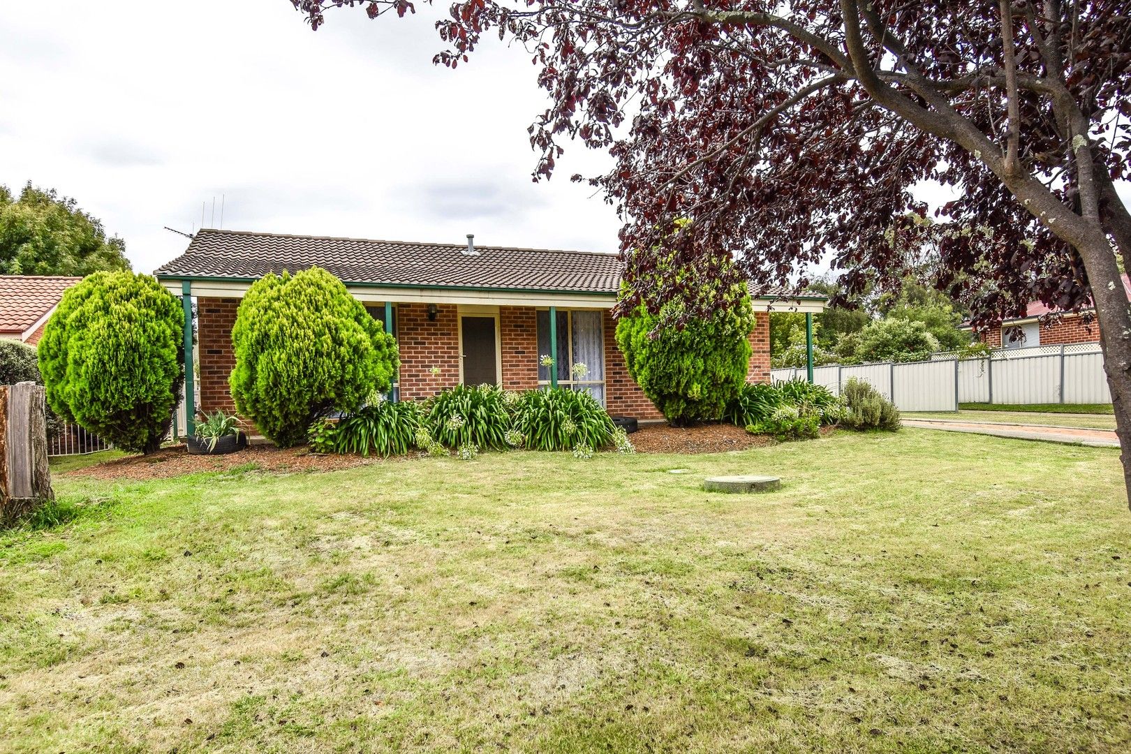 113 Phillip Street, Orange NSW 2800 House For Rent Domain