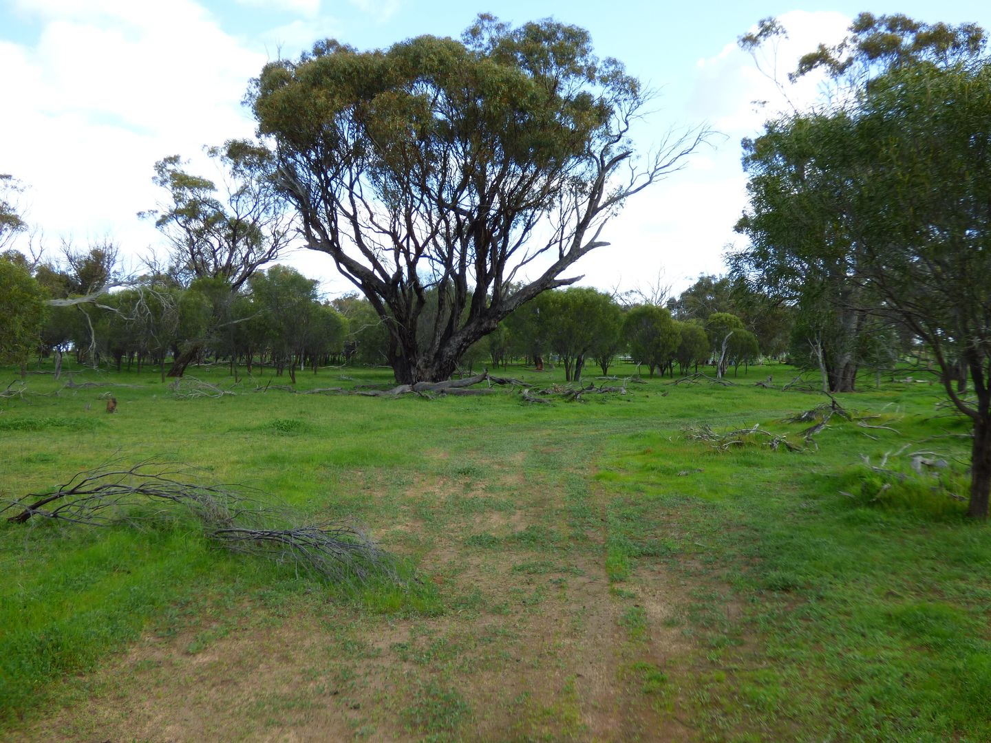 Lot 153 Bejoording Rd, Bejoording WA 6566, Image 2