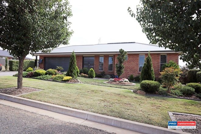 Picture of 4 McEwan Court, TUMBARUMBA NSW 2653