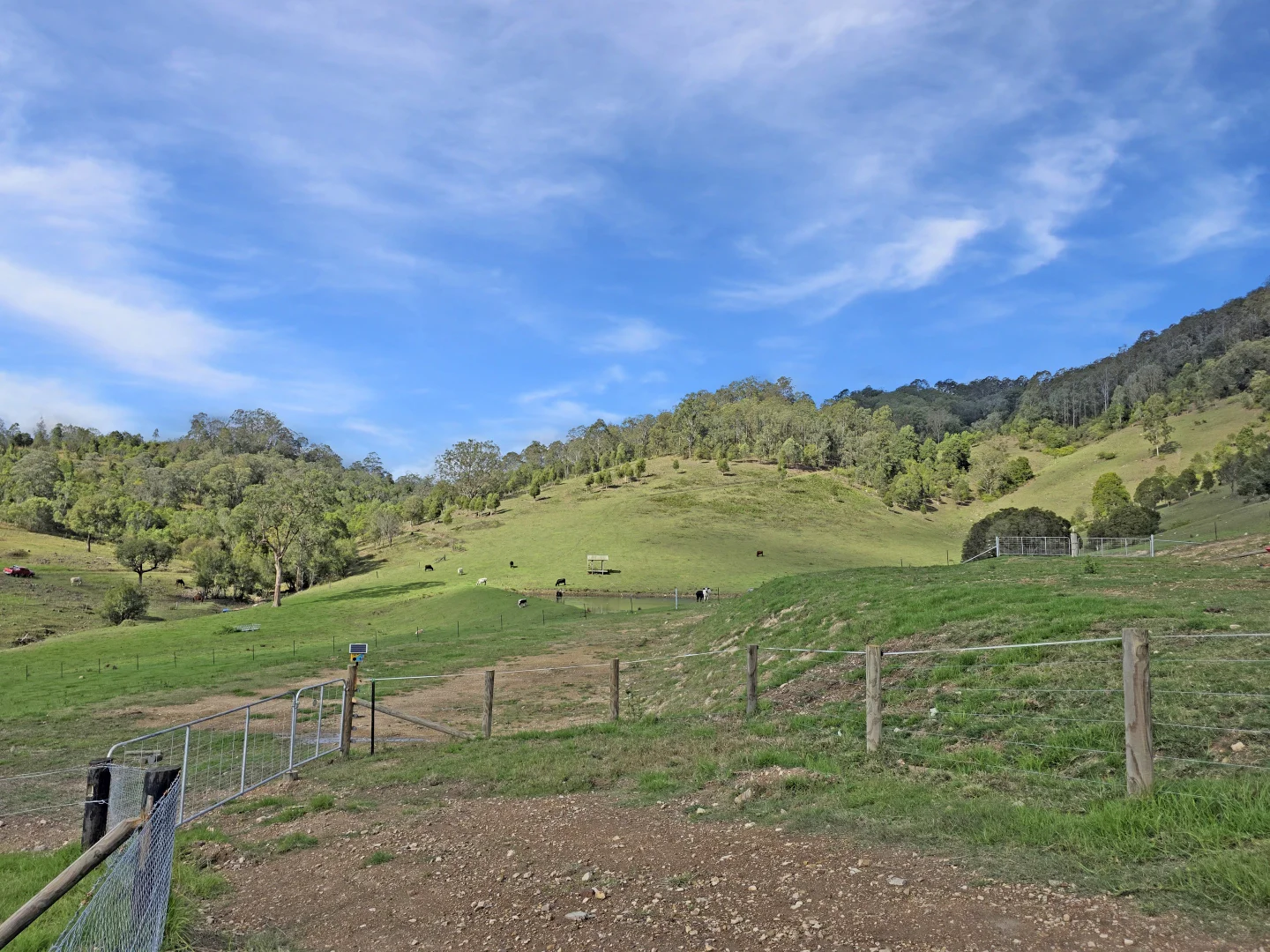 Image 31