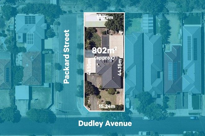 Picture of 31 Dudley Avenue, NORTH PLYMPTON SA 5037