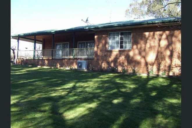 Picture of 6 Sullivan St, TOWONG VIC 3707