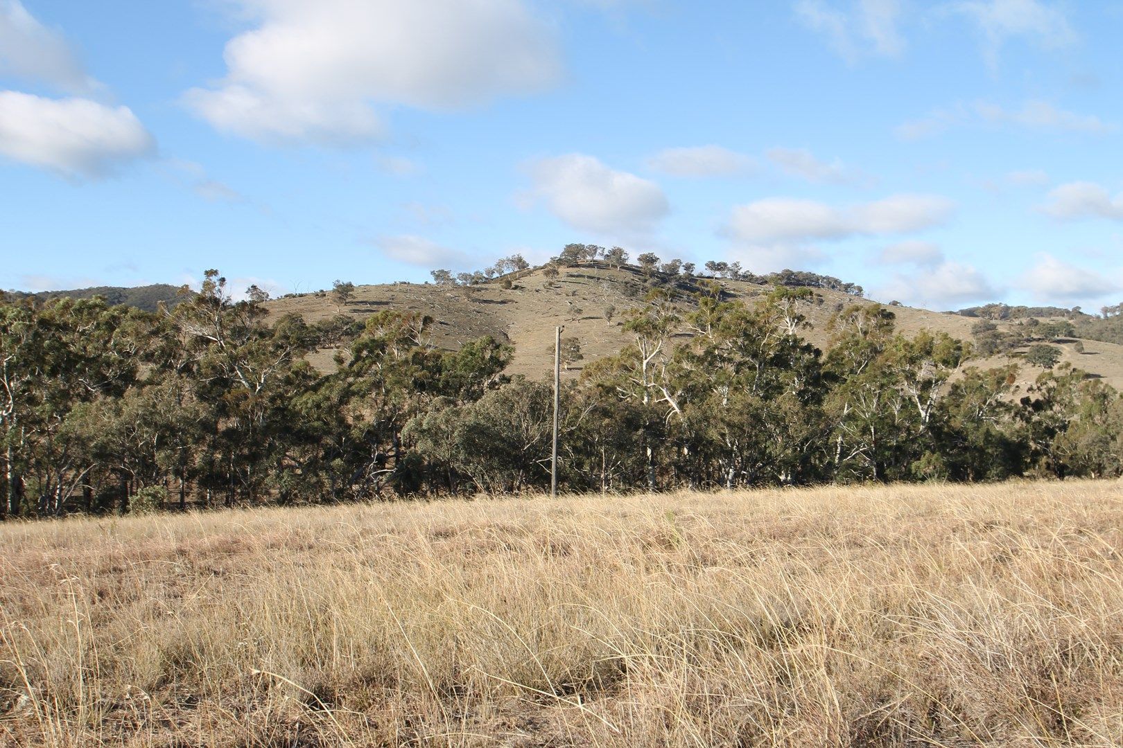 962 Campbells Creek Road, Mudgee NSW 2850, Image 0