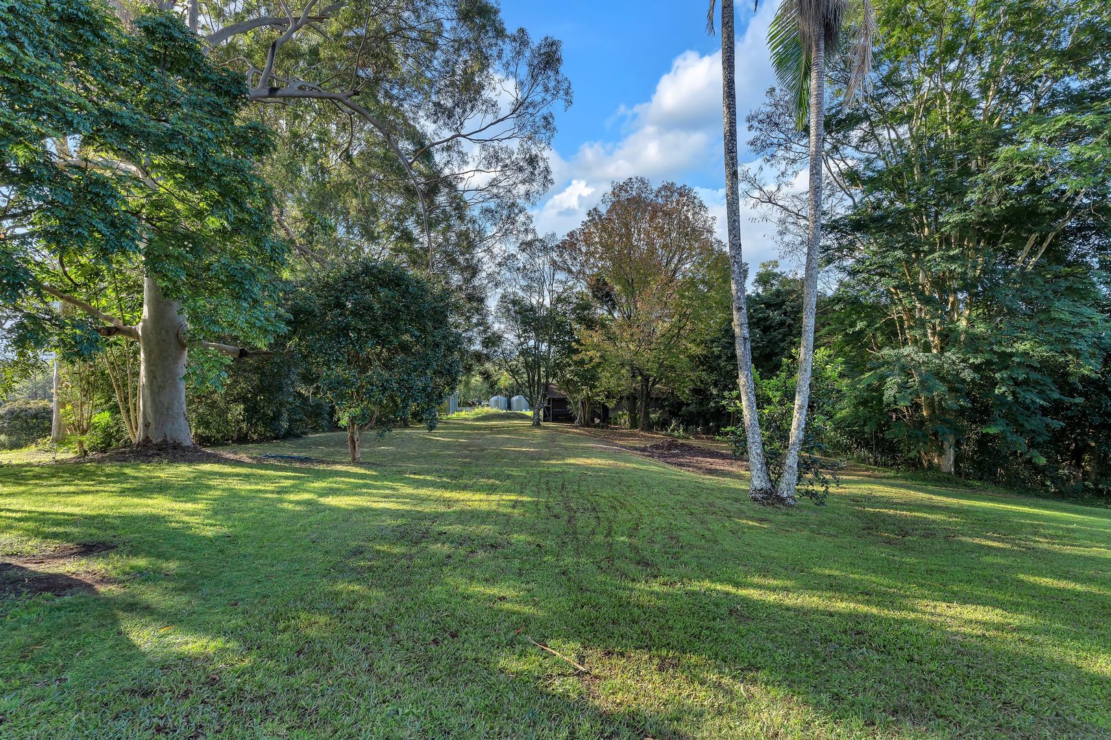 364 Dorroughby Road, Corndale NSW 2480, Image 2