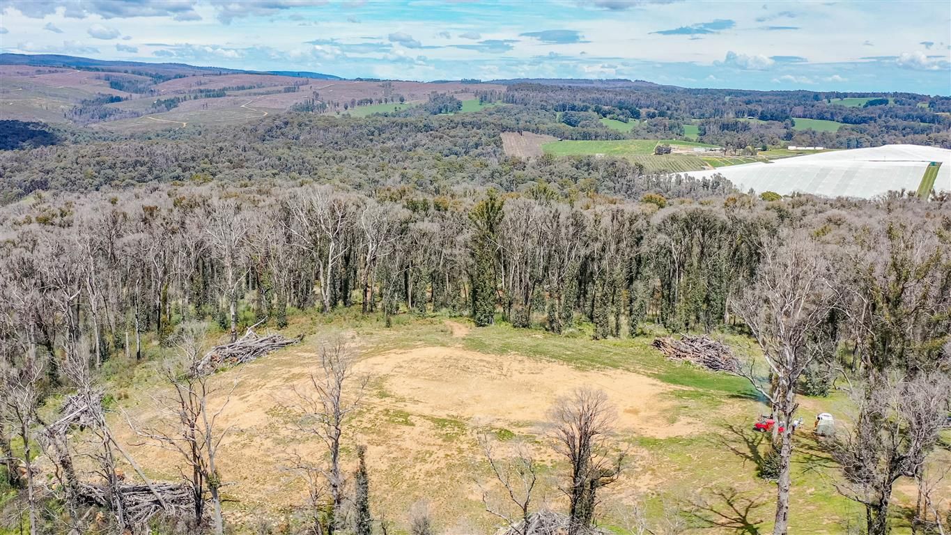 15A Batlow Road, Batlow NSW 2730, Image 2