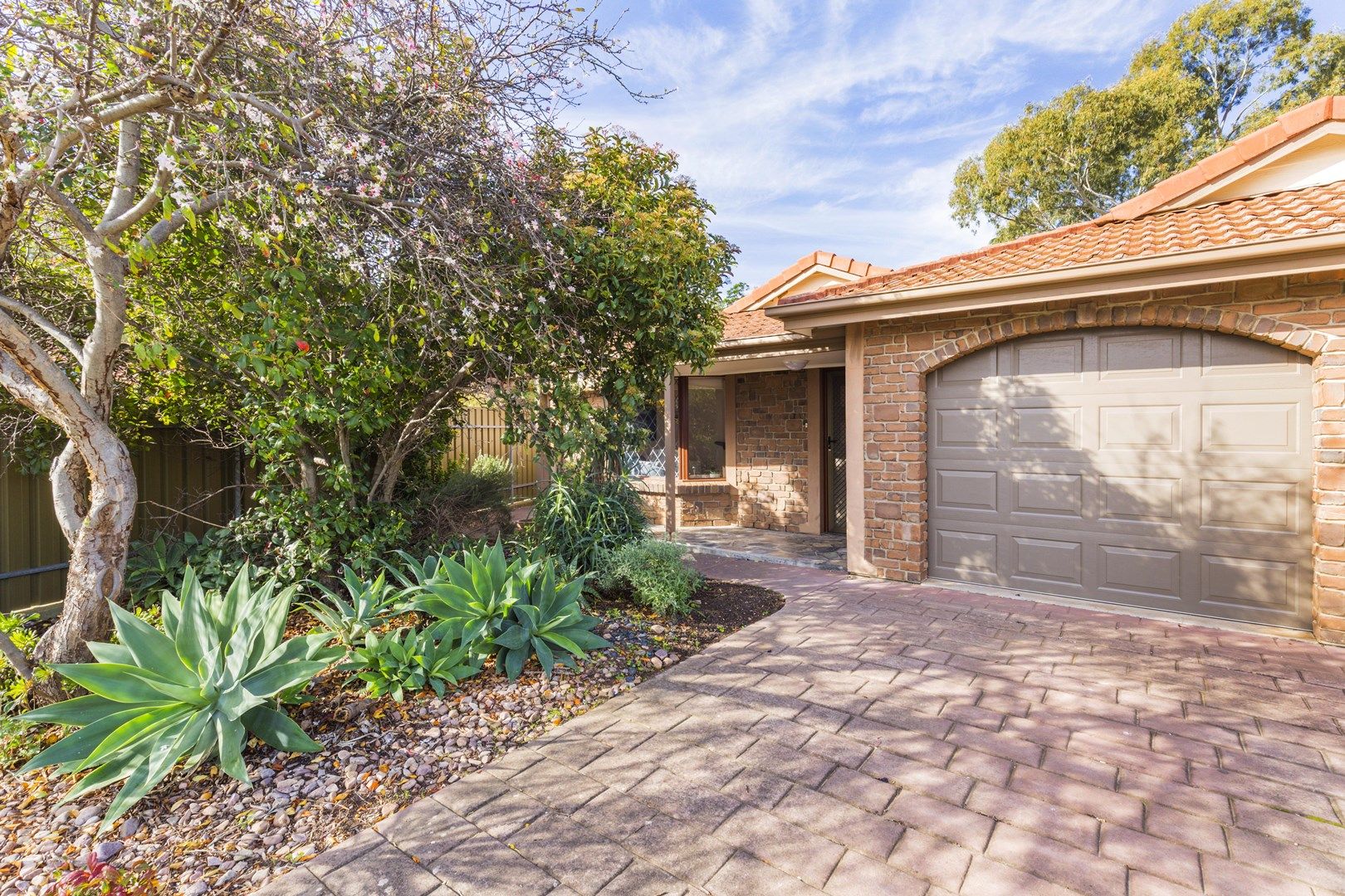 1/8 Sunglo Court, Teringie SA 5072, Image 0