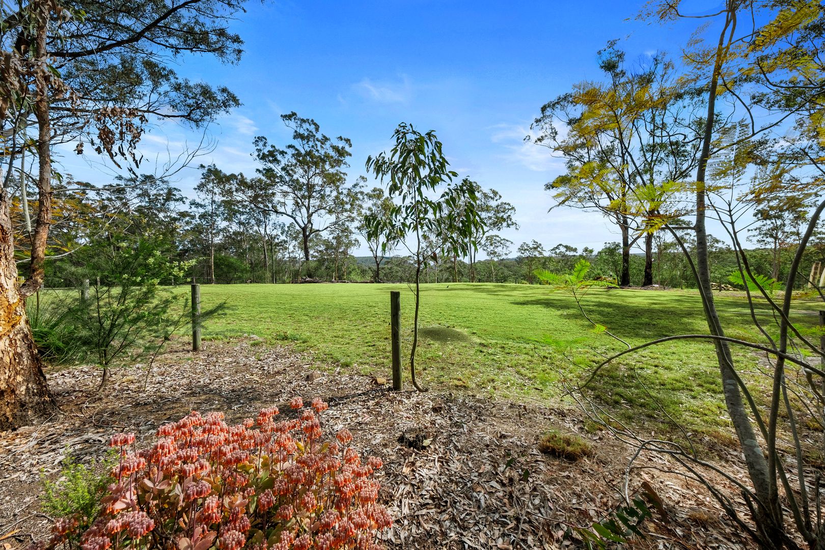 93 Mahons Creek Road, Yarramundi NSW 2753, Image 2