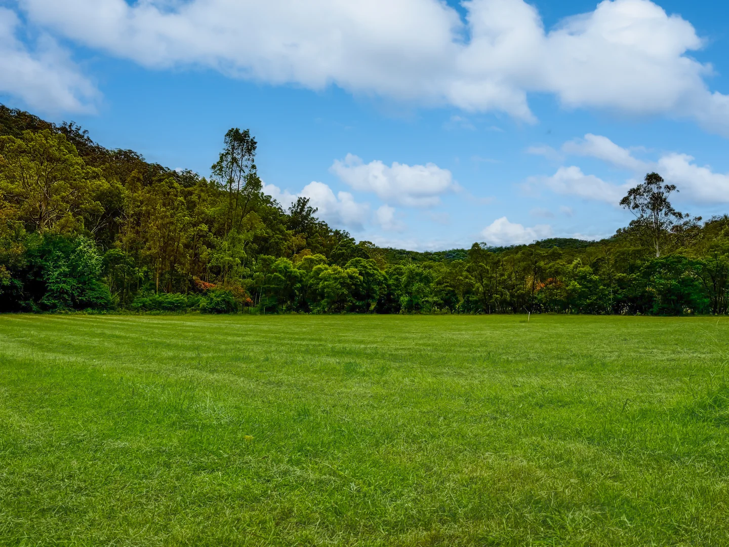 Additional image 3 of Lot 12 & 13 Narone Creek Road, Wollombi NSW 2325