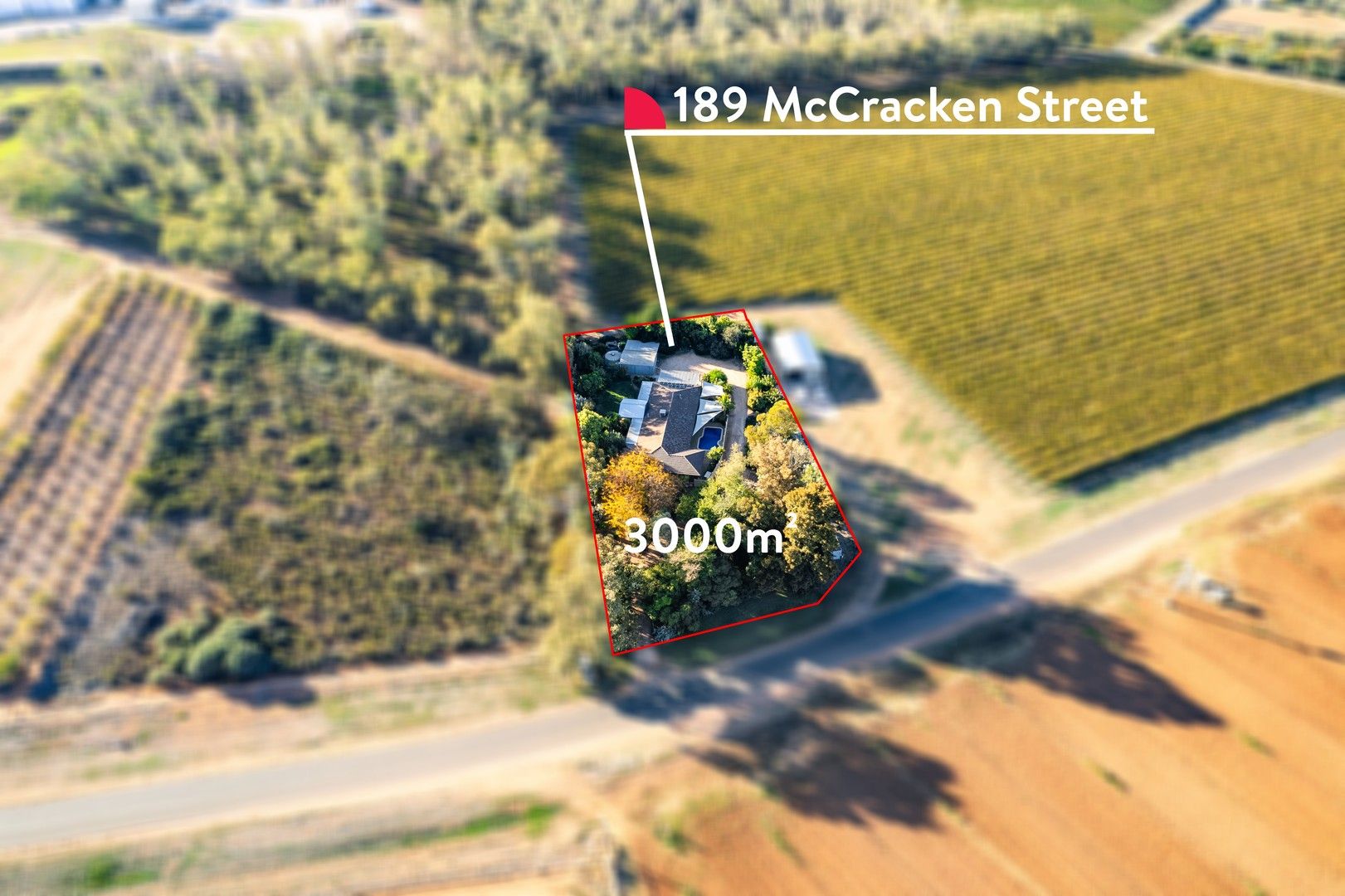 189 McCracken Street, Irymple VIC 3498, Image 0