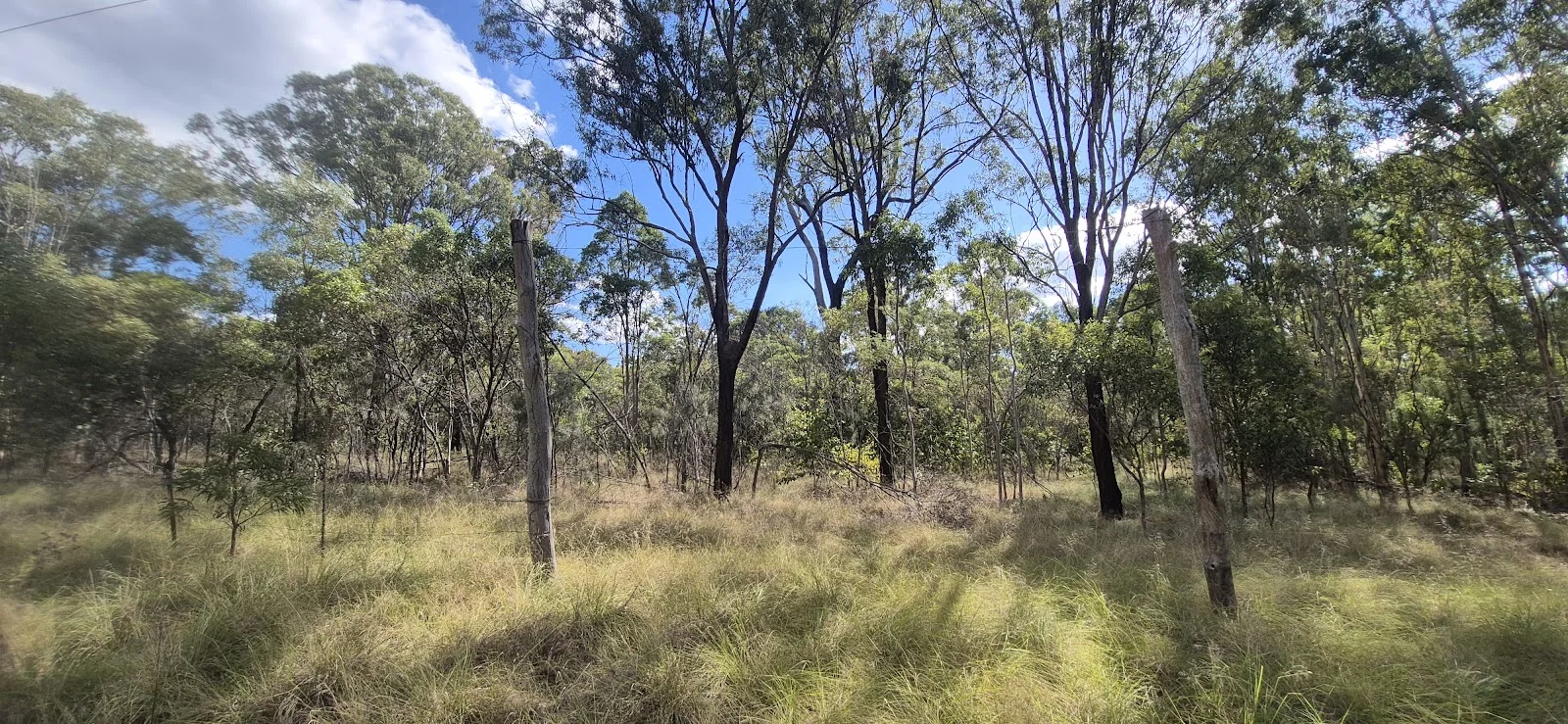 Additional image 12 of 522 Wattle Camp Road, Wattle Camp QLD 4615