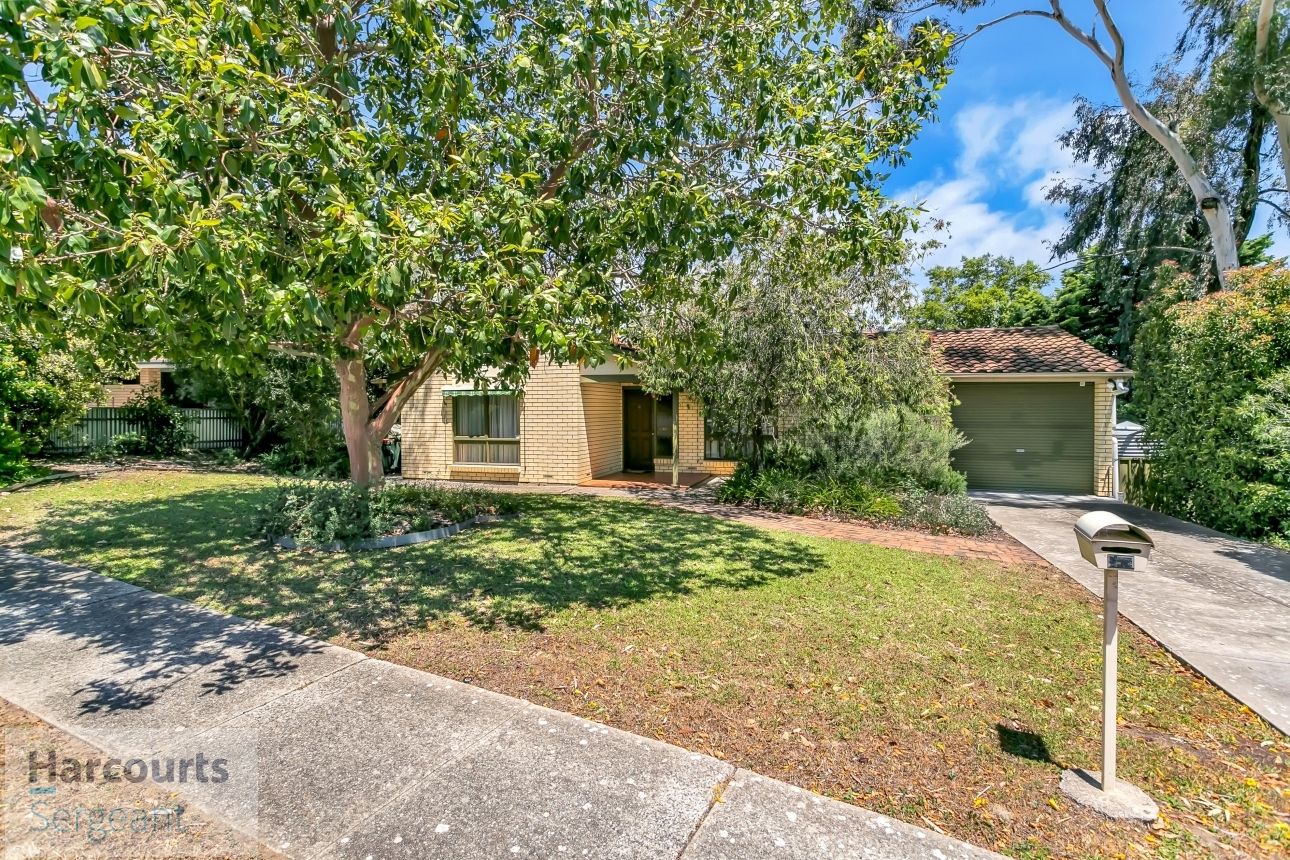 13 McPharlin Avenue, Redwood Park SA 5097, Image 0