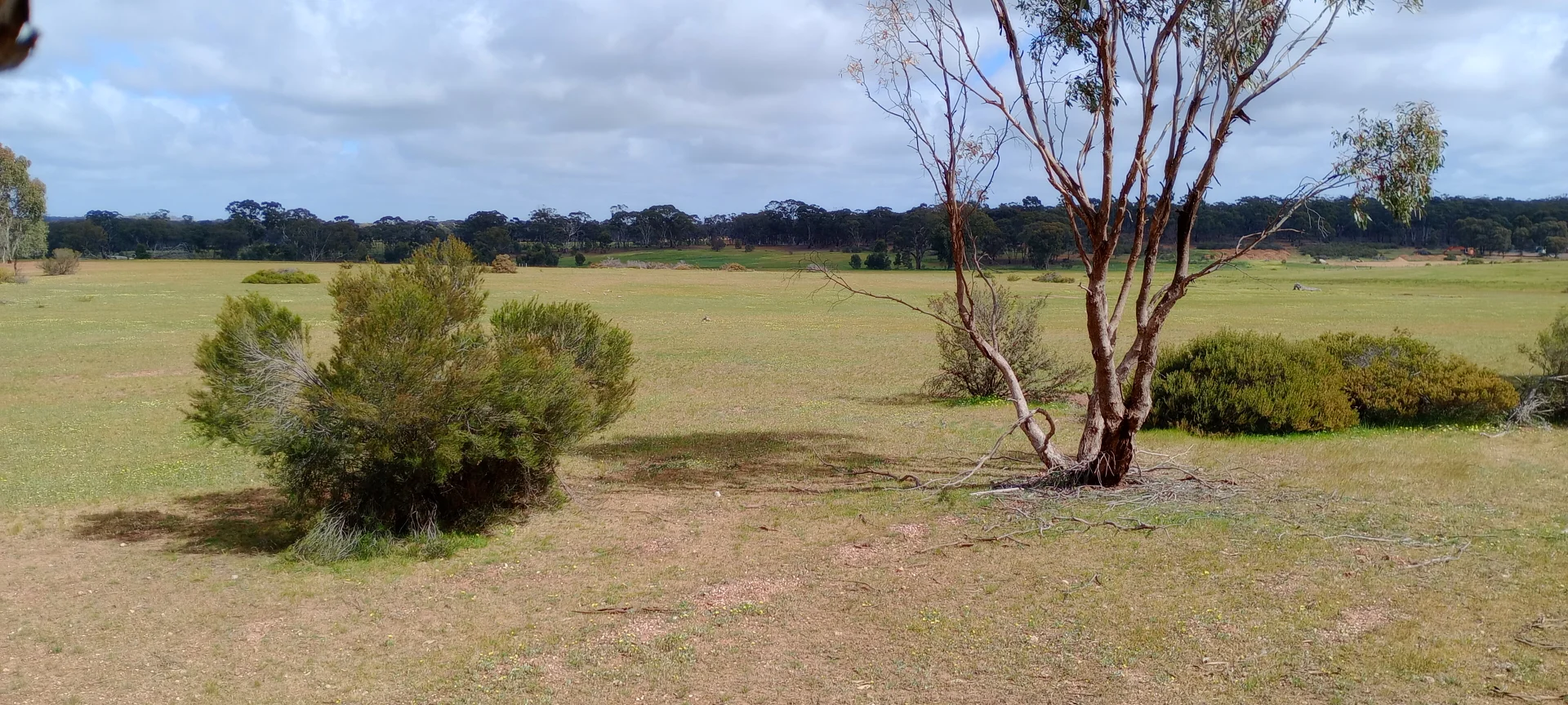 Additional image 13 of Wedderburn VIC 3518