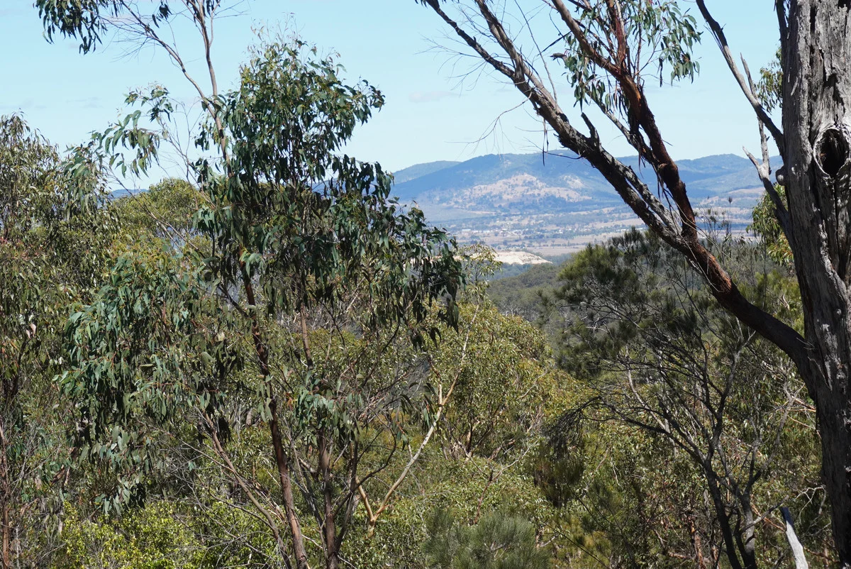 Additional image 41 of 1293 Mount Lindesay Road, Tenterfield NSW 2372