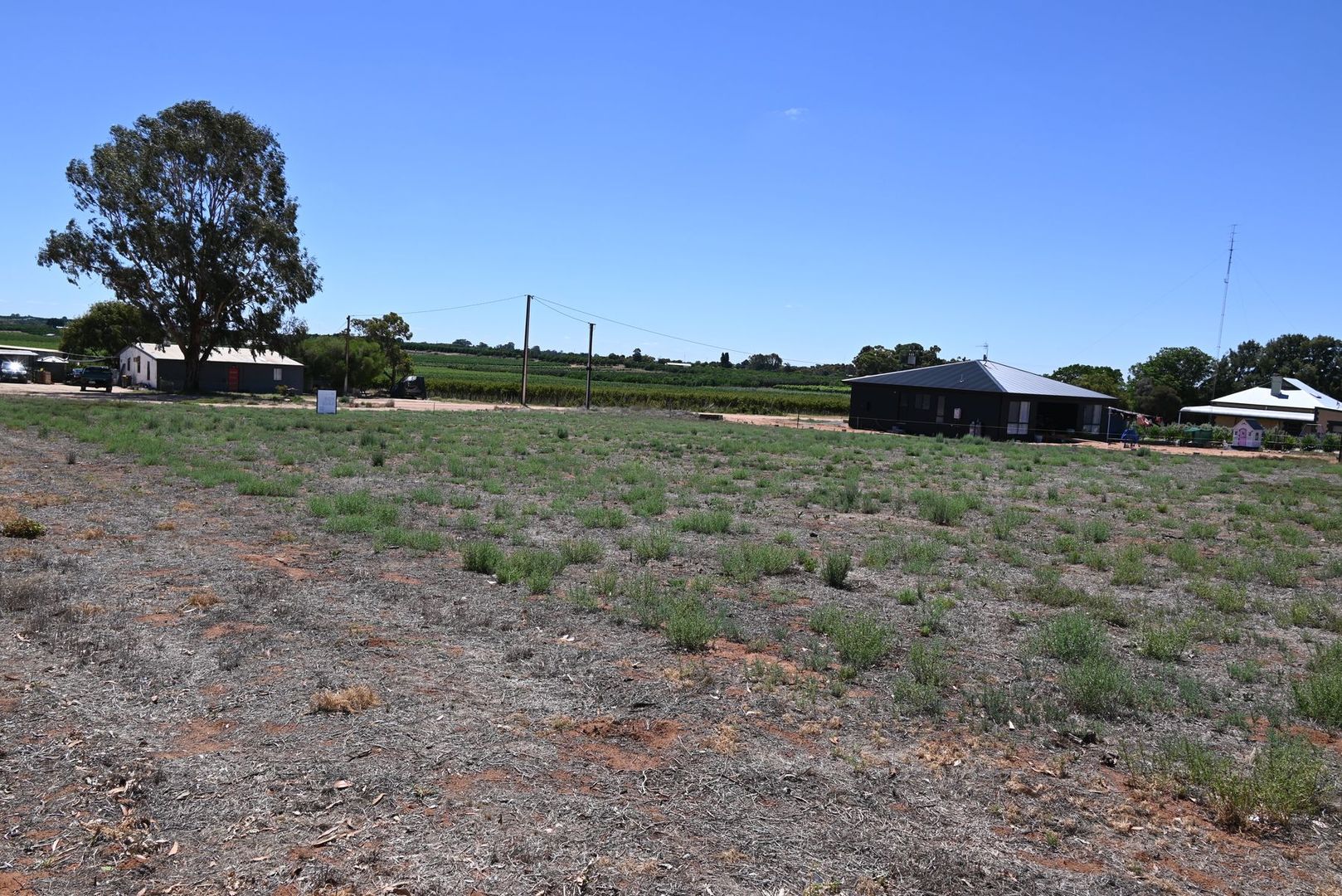 Lot 52 Blake Road, Waikerie SA 5330, Image 1