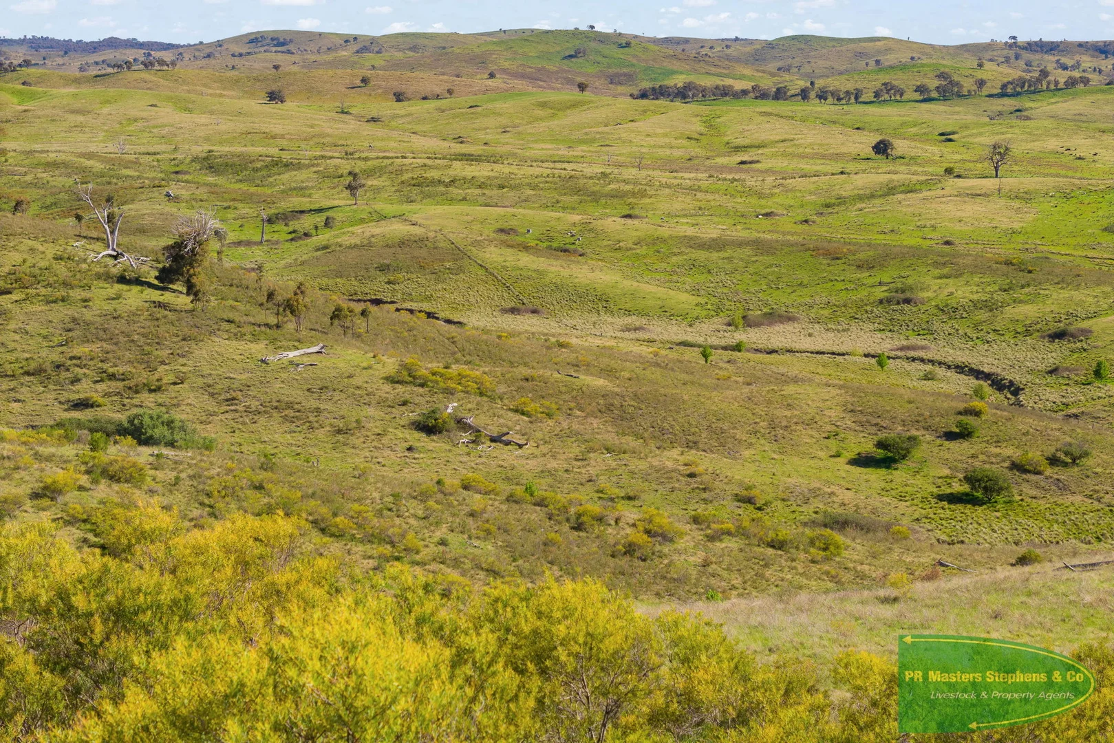 Additional image 28 of 351 Shepherds Creek Road, Euchareena NSW 2866