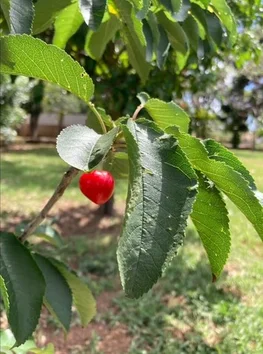 Additional image 71 of 103 Rural Road, Nanango QLD 4615