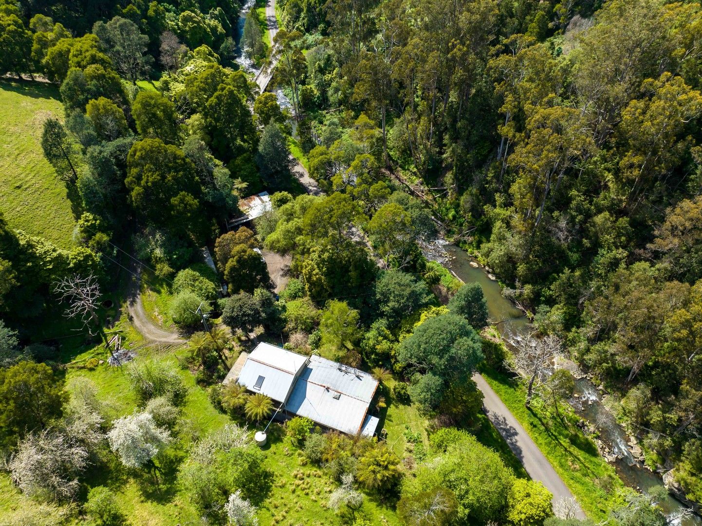 1592 Tarra Valley Road, Tarra Valley VIC 3971, Image 1