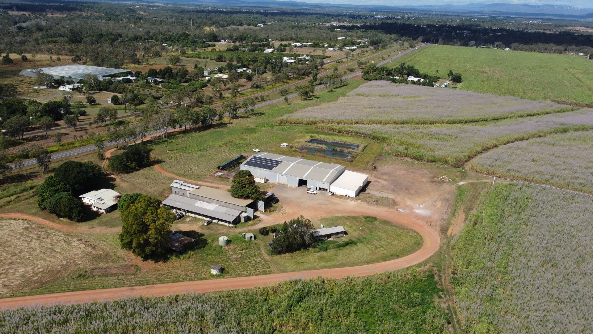 Mareeba QLD 4880 House for Sale Domain