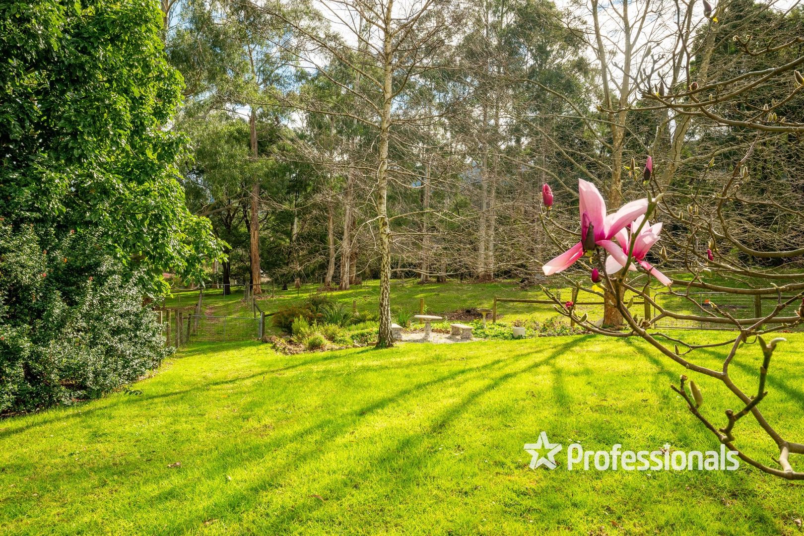 32 Wonga Road, Millgrove VIC 3799 House for Sale Domain