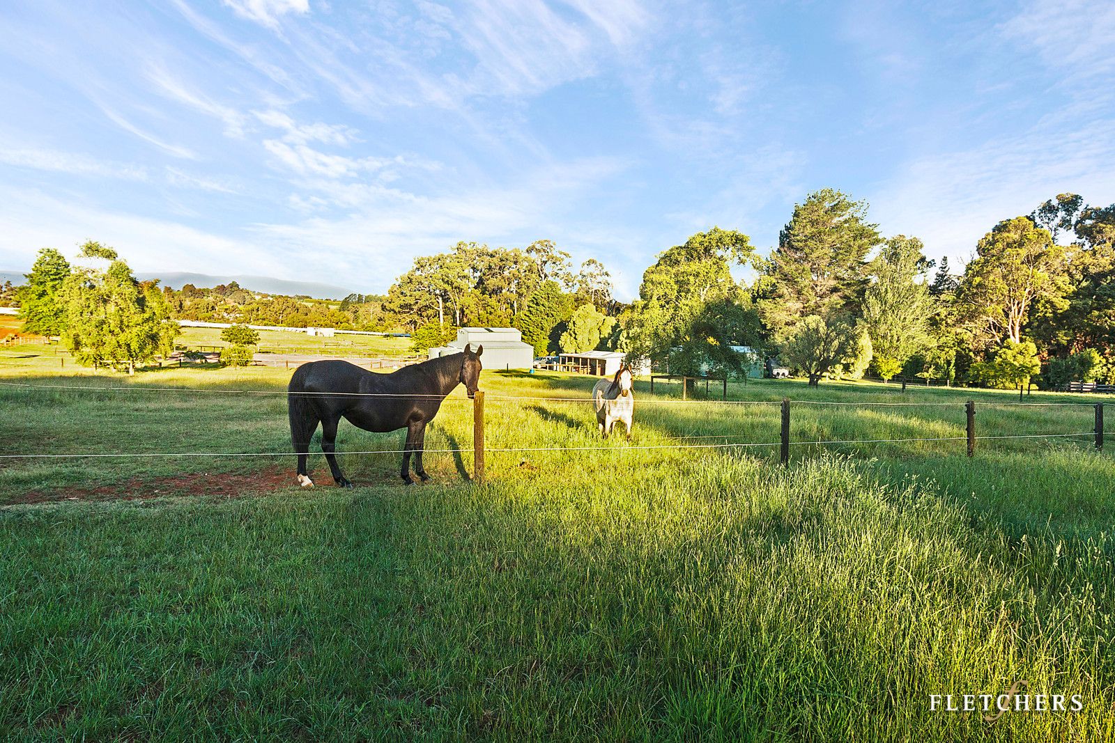 65 Progress Road, Silvan VIC 3795, Image 1