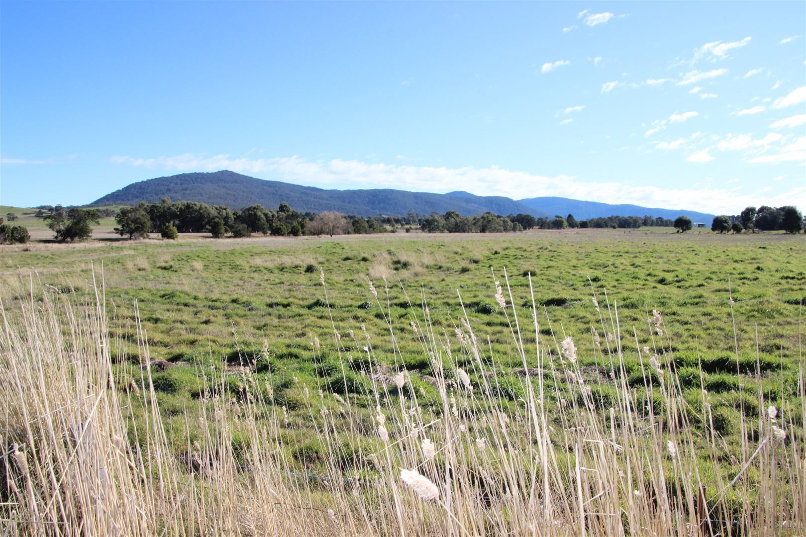 Lot 7A Raglan-Elmhurst Road, Raglan VIC 3373, Image 0