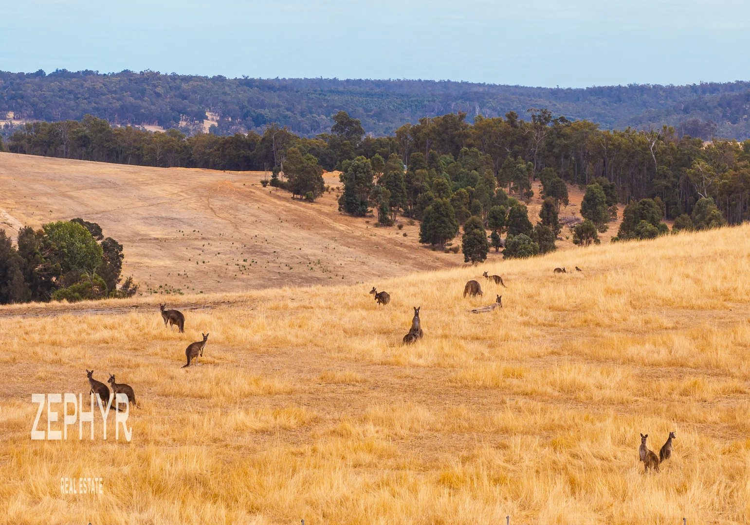 Additional image 41 of 89 Hearle Road, Mumballup WA 6225